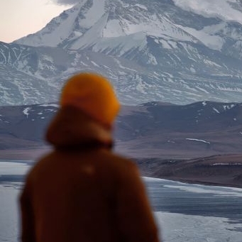 OrchidGrove OrchidGrove